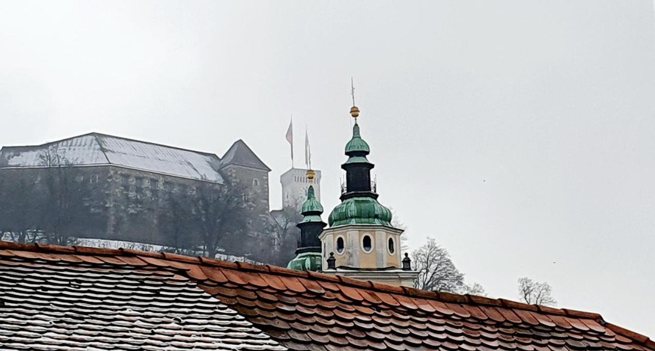 Petkovsek Rooms And Apartments Ljubljana Exterior photo